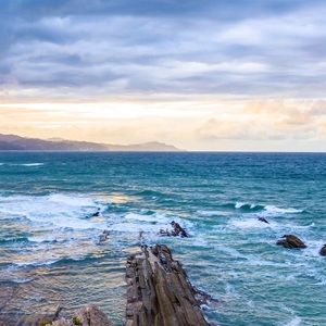 Meet your Posher, Nyla